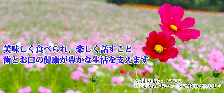 トップイメージ